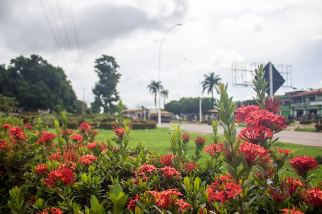 CURIONÓPOLIS RECEBE OBRAS DE PAISAGISMO NAS RUAS DA CIDADE