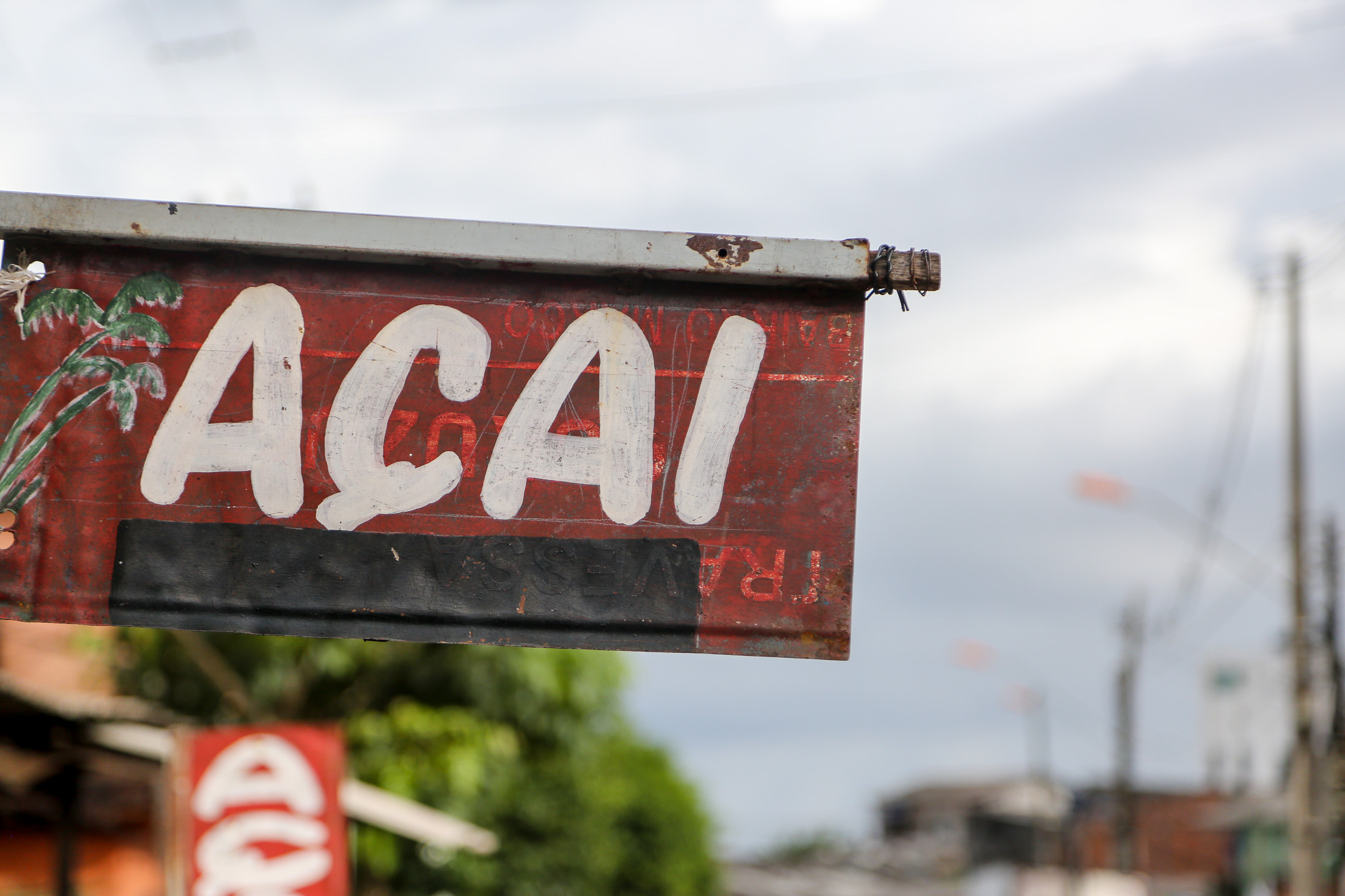 Em Belém ação conjunta fecha pontos irregulares de açaí e comerciante é preso