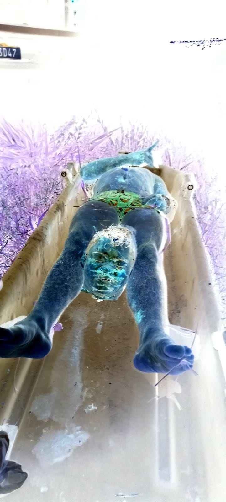 Parauapebas: Mais um corpo decapitado é encontrado na cidade