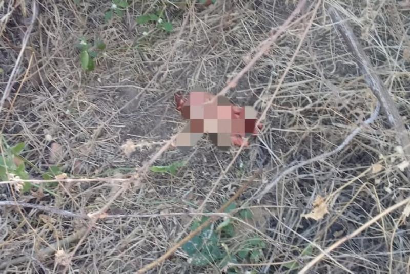 Homem decepa mãos da esposa e do próprio irmão após suspeitar de traição