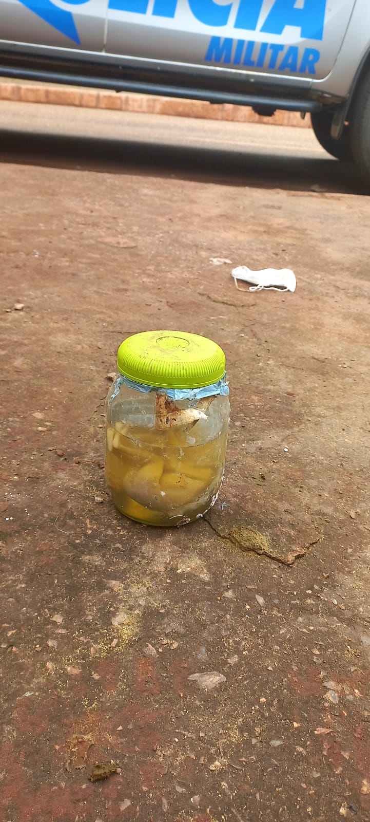 Gari encontra feto dentro de pote  em Parauapebas