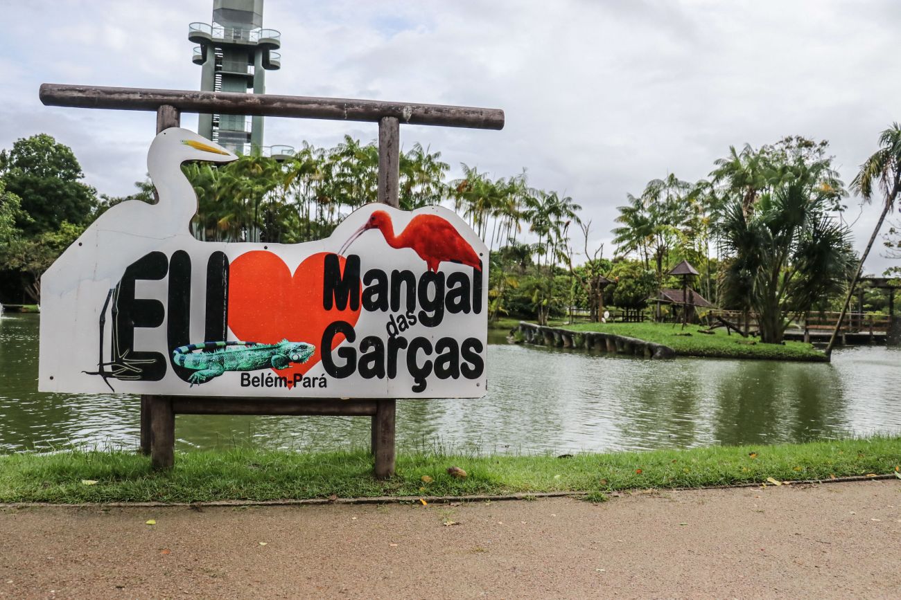 Nova ilha de aves do Mangal das Garças preserva e amplia a biodiversidade amazônica