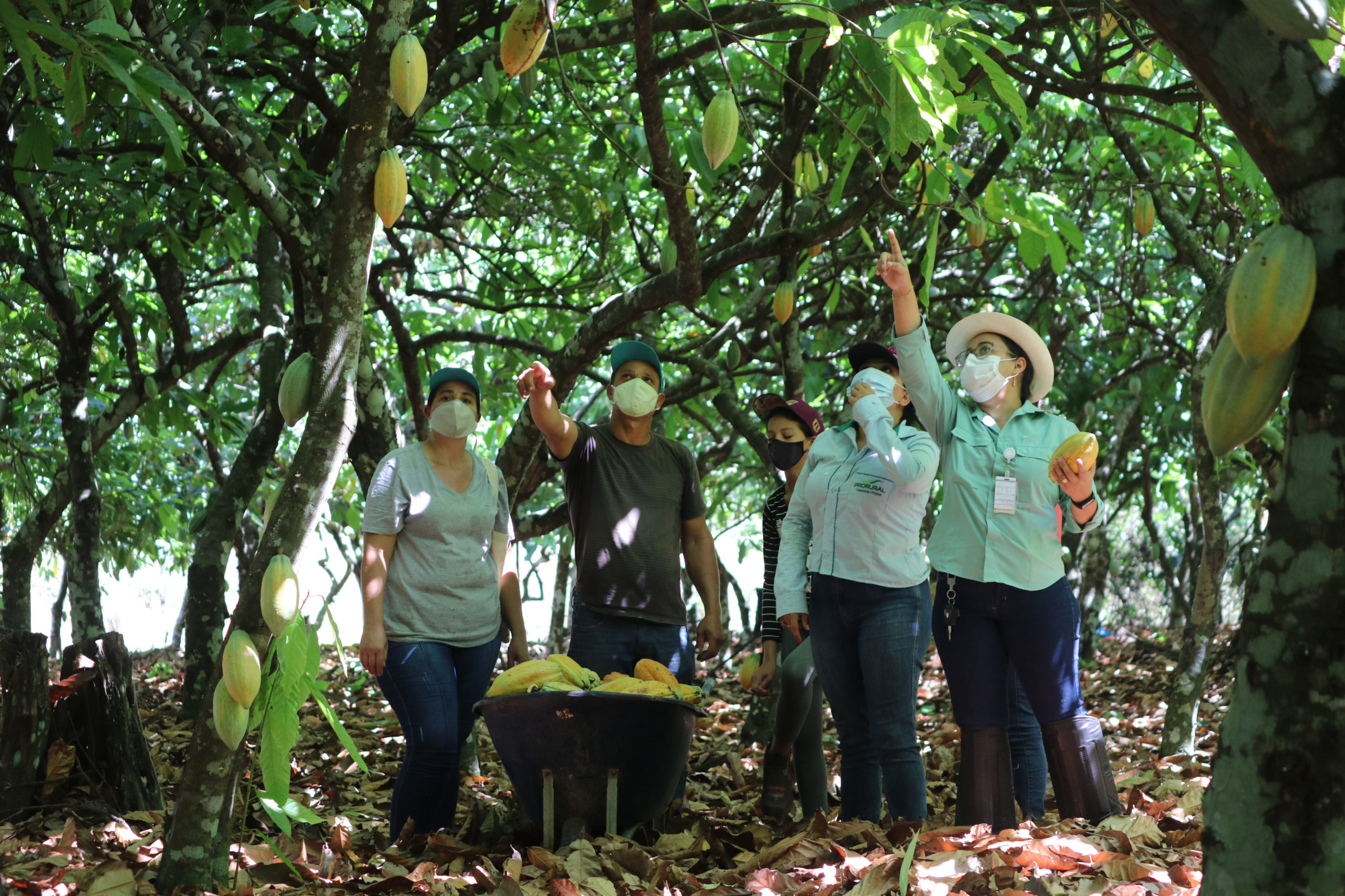 30 mil empregos mantidos e R$ 2,7 bilhões em tributos recolhidos pela Vale no Pará