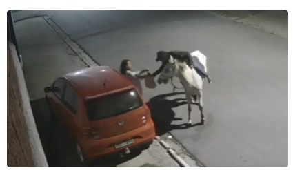 Homem realiza assaltos montado a cavalo Garanhuns