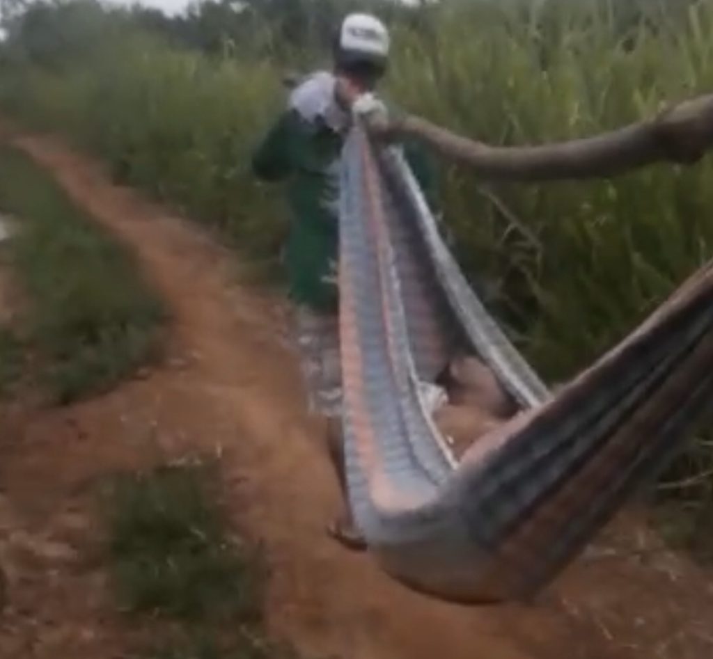 Corpo de homem é transportado em rede por falta de estradas vicinais