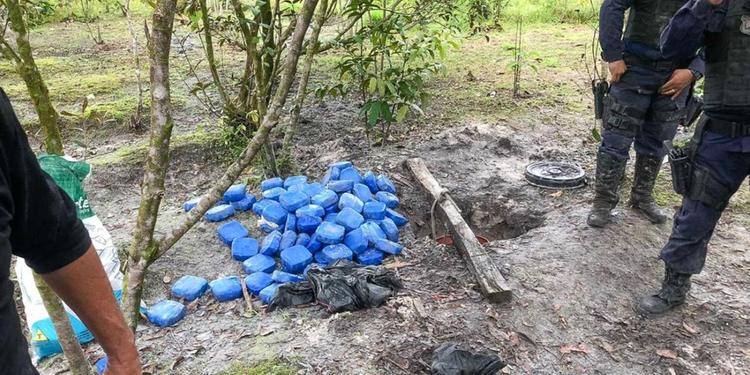 Pará já acumula em 2020 maiores números relacionados a apreensões de drogas no Estado