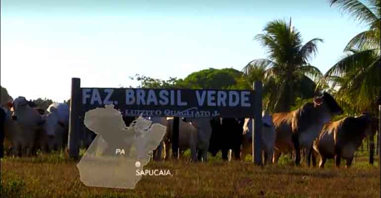 Pecuarista é condenado por manter 85 trabalhadores em condições análogas a de escravo no Pará