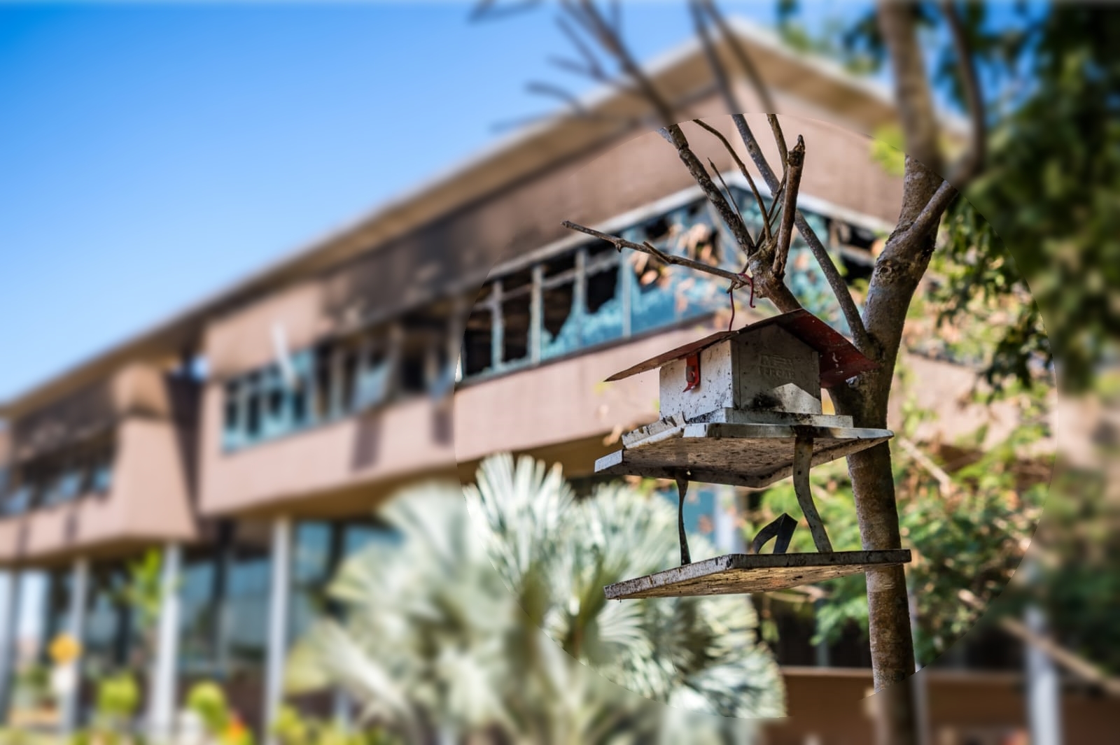 Prefeitura de Parauapebas decreta situação de emergência para restabelecer serviços à população com celeridade após incêndio