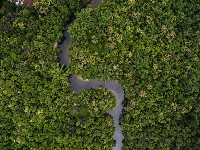 Fundo Vale, Microsoft e Imazon lançam a PrevisIA, ferramenta de Inteligência Artificial que ajudará na prevenção do desmatamento da Amazônia
