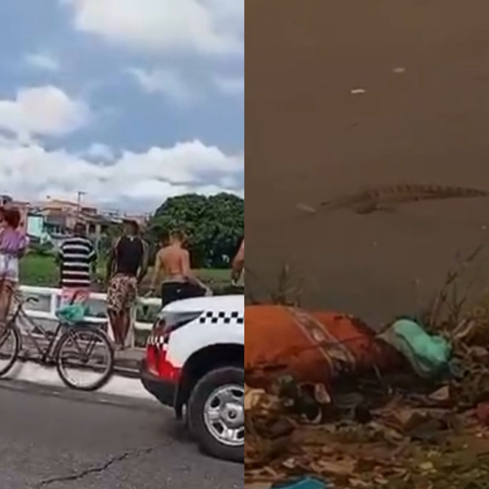 Homem desaparece próximo a canal de Belém: ‘engolido pela sucuri’