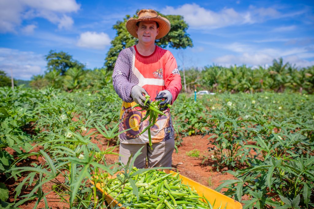 Investimentos no campo: Conheça as iniciativas que fortalecem a produção rural em Canaã dos Carajás