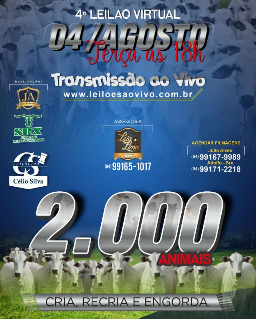 Leilões Virtuais tem sucesso durante a pandemia