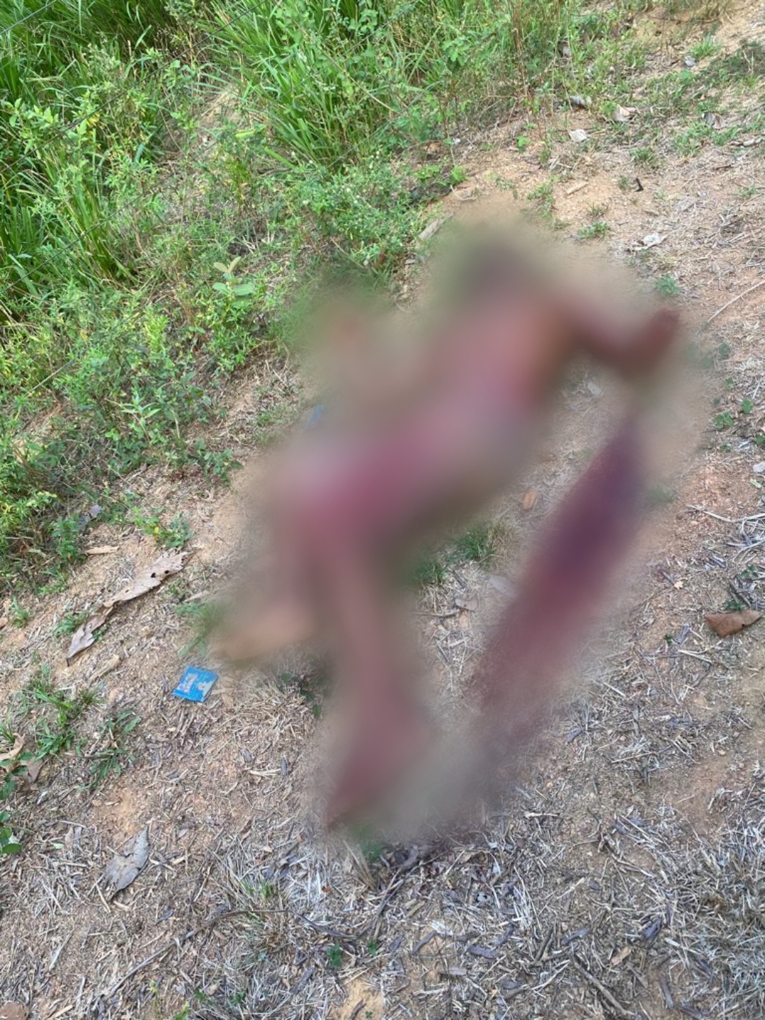 Briga entre casal termina com homem morto e mão decepada