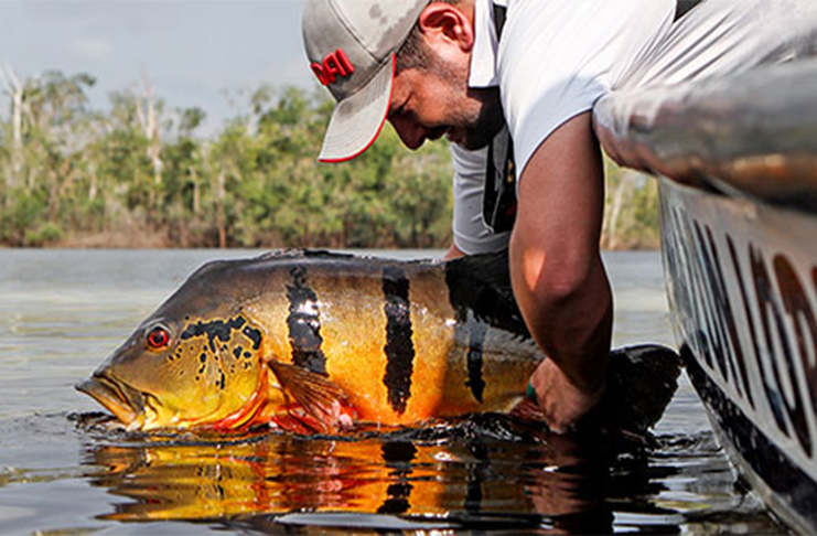 Pesca esportiva em Parauapebas