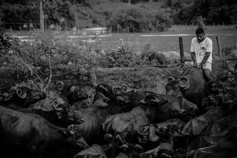 Exposição “Para além das margens” em cartaz na Casa da Cultura de Canaã dos Carajás