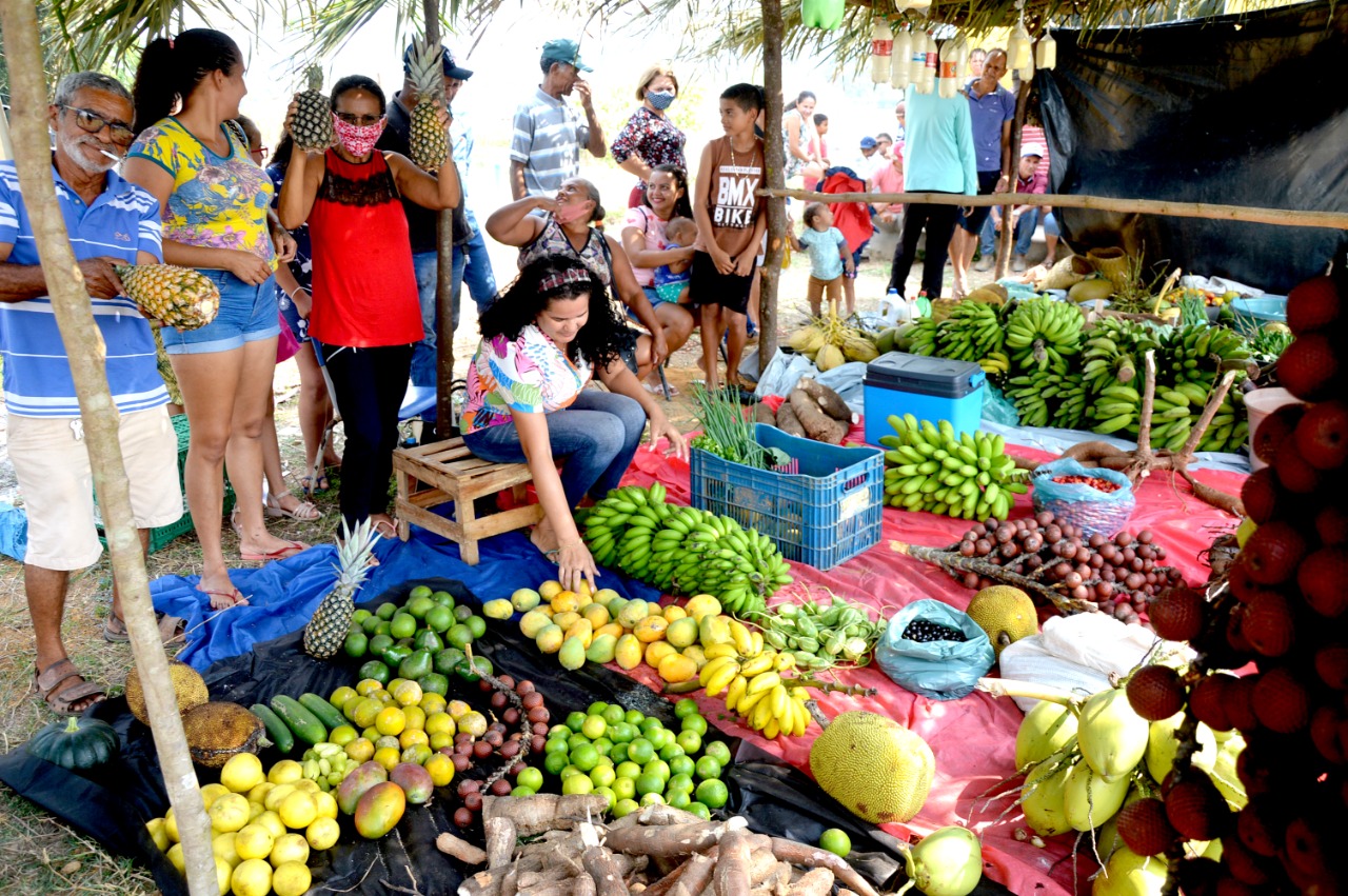 Assentamento Tapete Verde será regularizado