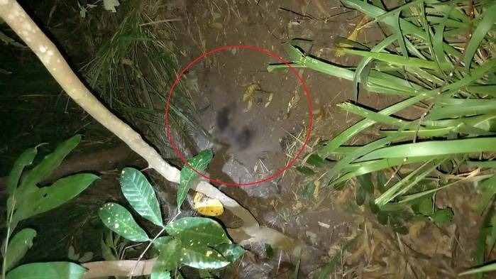 Vídeo de coração pulsando leva a corpo ocultado em Parauapebas