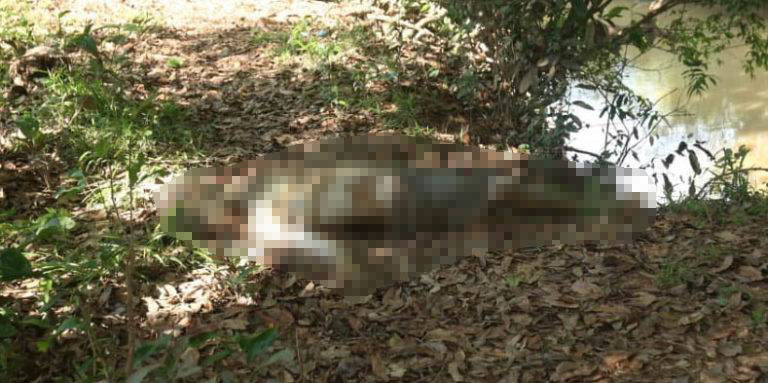 Corpo de jovem de 17 anos é achado em balneário