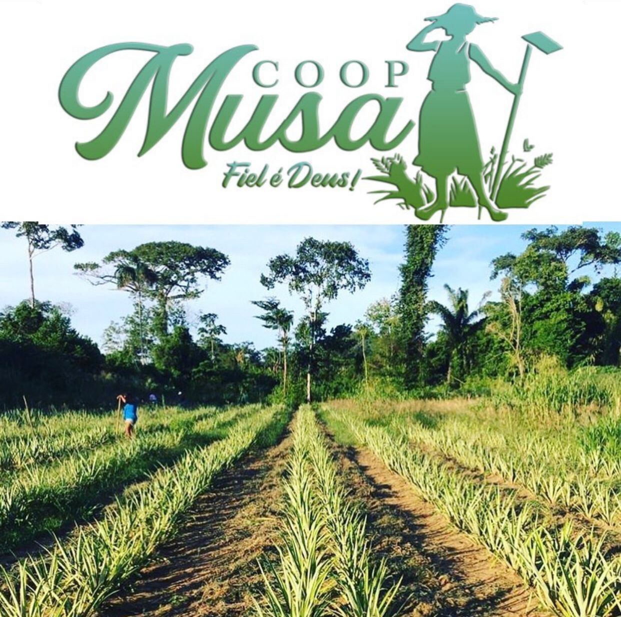 Projeto COOP-MUSA convida à todos para participarem de uma ação social sábado dia 23