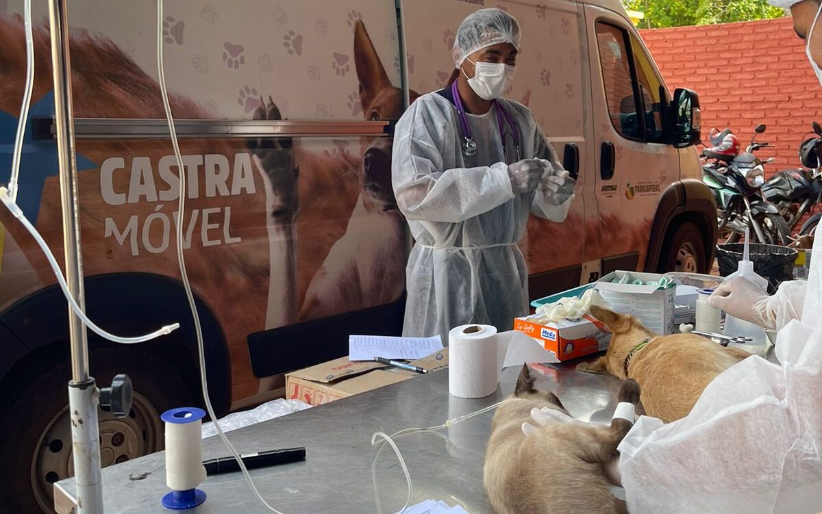 Mutirão da Unidade de Vigilância em Zoonoses (UVZ) realiza 340 atendimentos