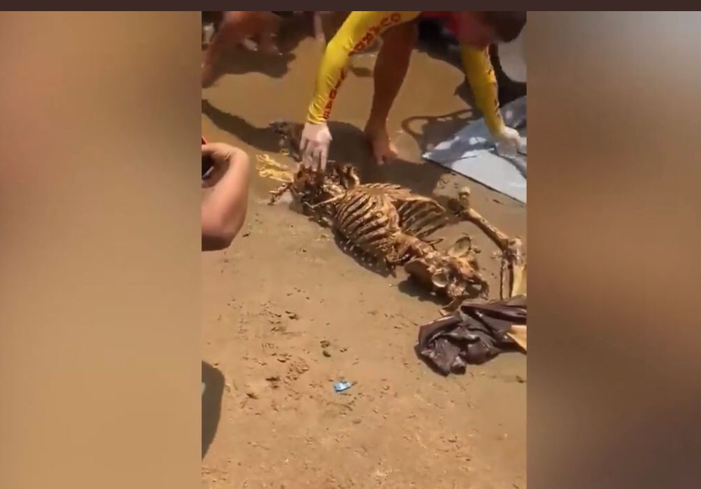 Vídeo: Ossada humana é encontrada em praia de Manaus