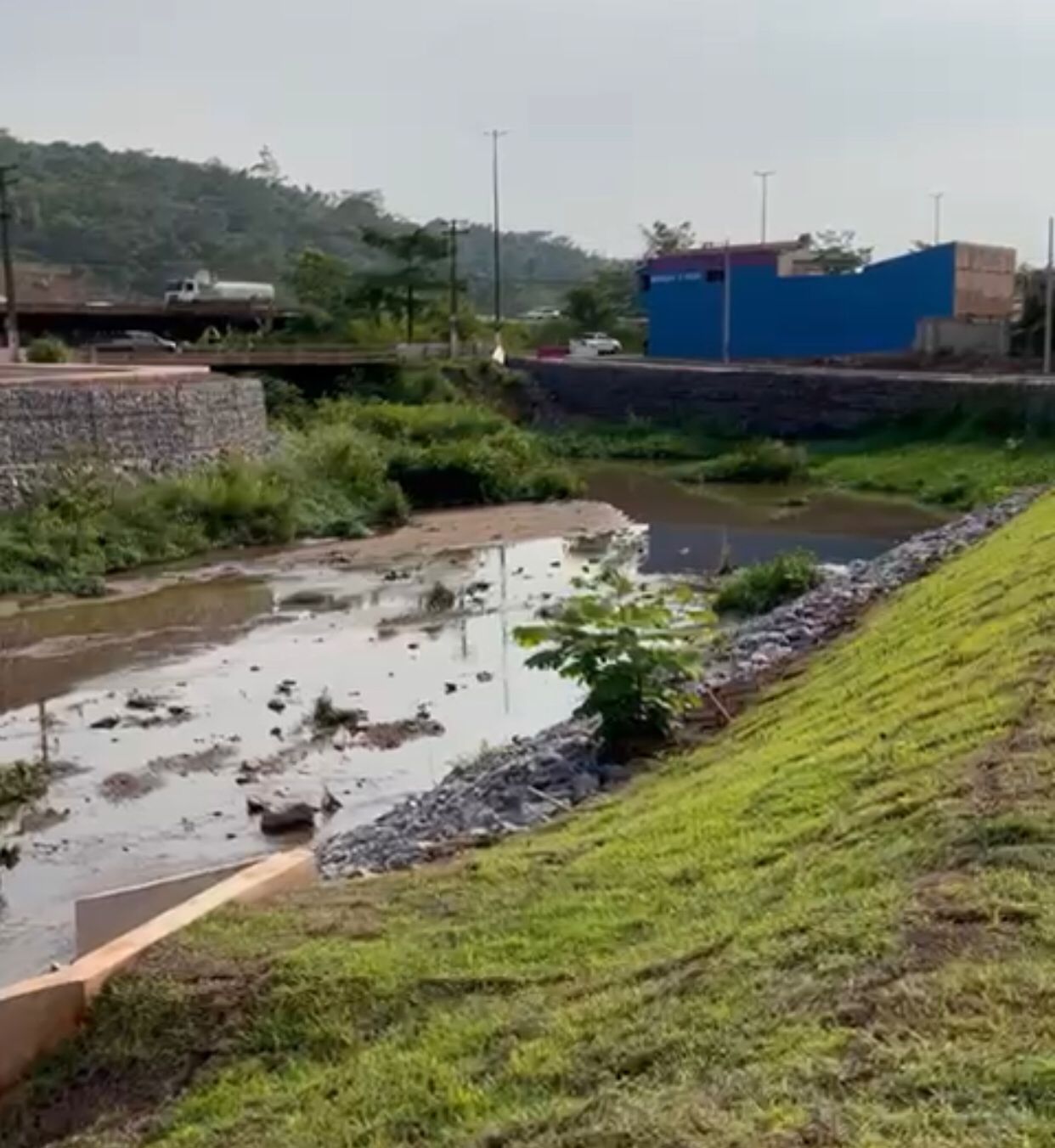 Vídeo: Centenas de peixes mortos na Igarapé Ilha do Coco em Parauapebas