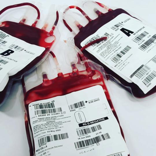 Pais rejeitam sangue de vacinados para tratar filho