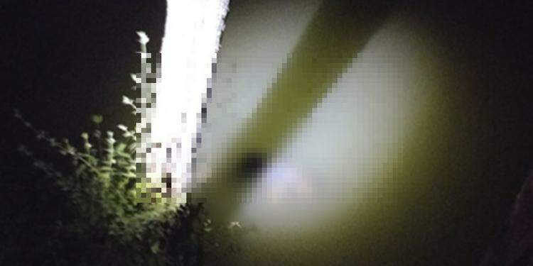 Polícia Civil apreende mais de 20 quilos de drogas e R$ 13 mil reais em Marabá