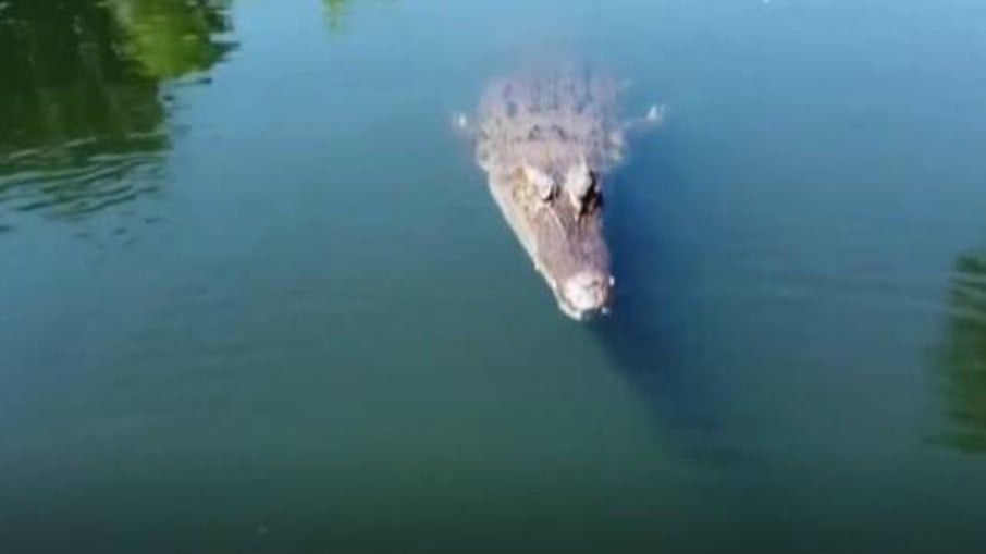 Mulher enfrenta crocodilo por 90 minutos na Indonésia
