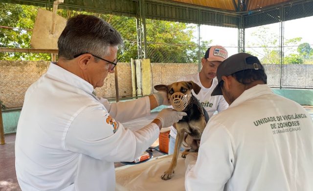 Agosto Verde reforça combate e prevenção à Leishmaniose em Canaã dos Carajás