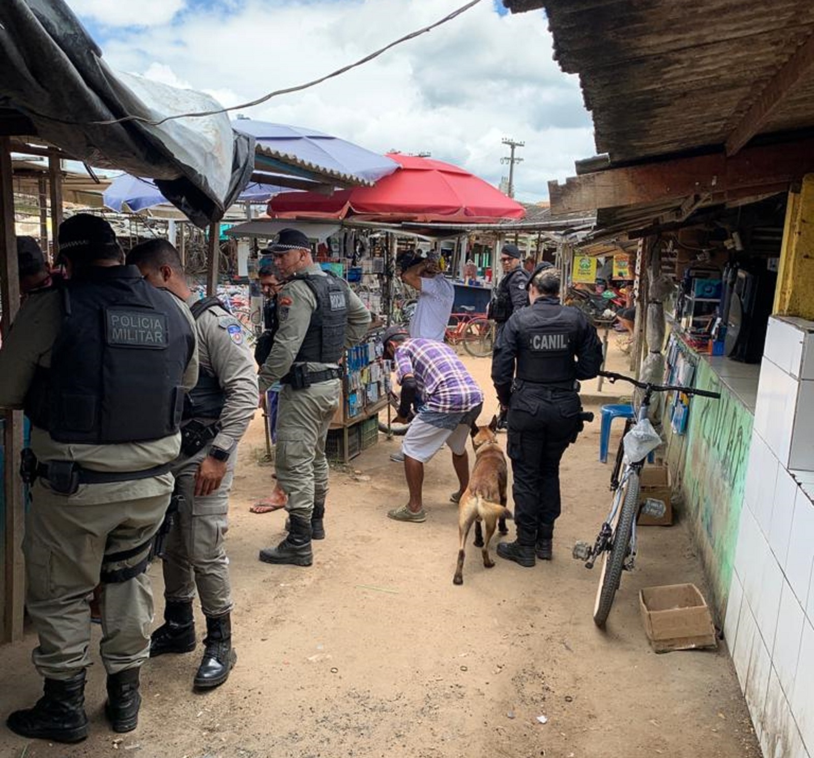 Belém: Corpo é encontrado em matagal