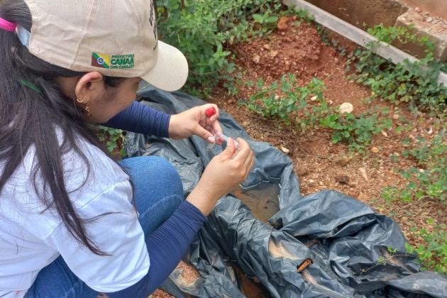 Prefeitura Municipal de Canaã dos Carajás intensifica ações de combate à dengue