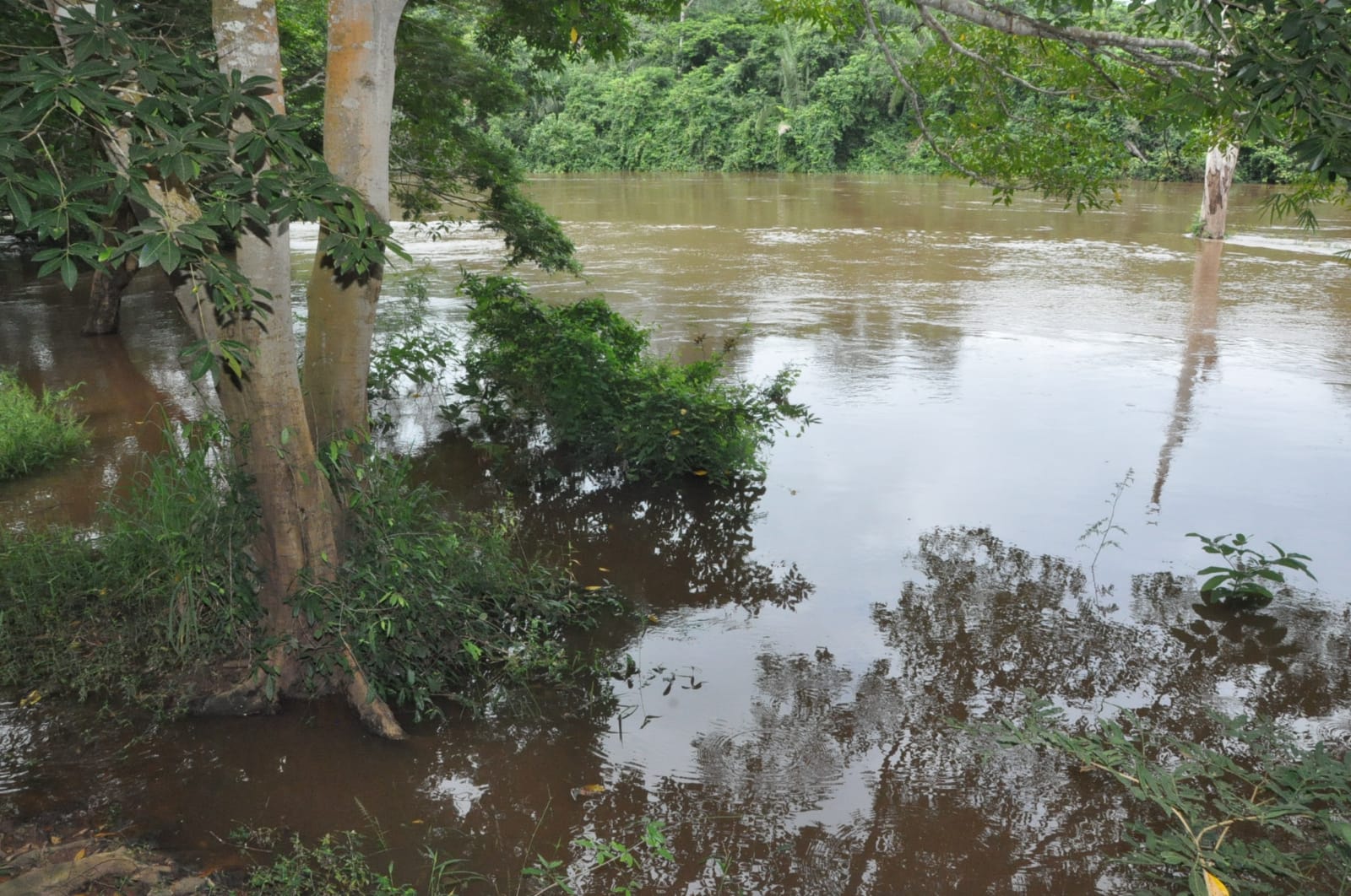 Defesa Civil emite alerta laranja para inundações em Parauapebas