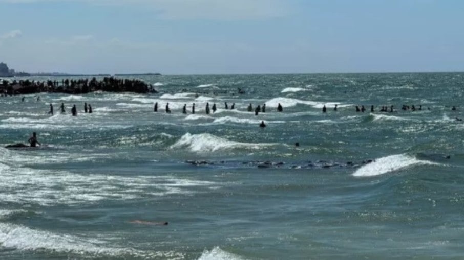 Palestinos se afogam ao tentar buscar pacotes de ajuda humanitária