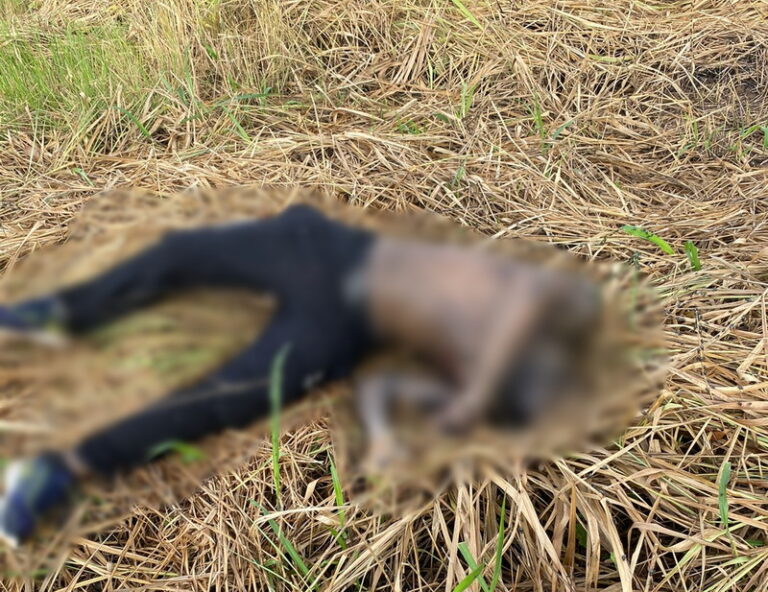 Corpo é encontrado próximo ao Residencial Alto Bonito, em Parauapebas