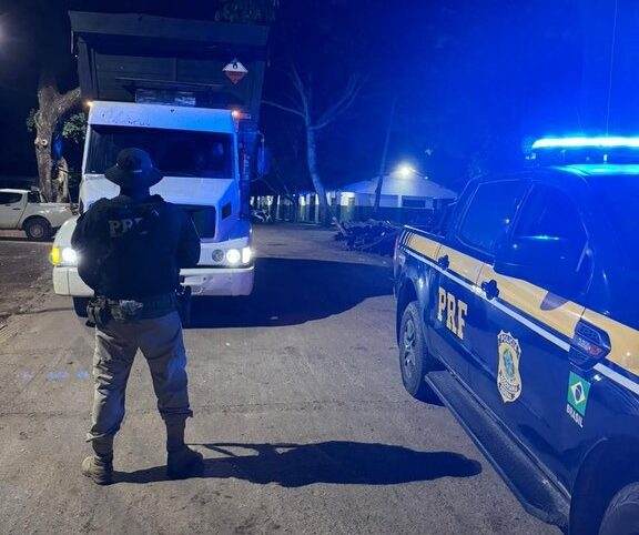 PRF apreende 30 m³ de carvão ilegal