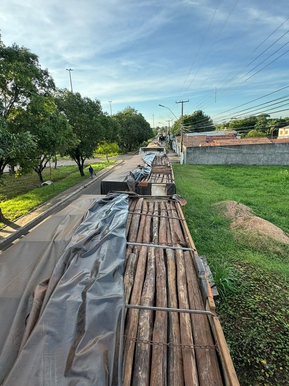 PRF apreende 93m³ de madeira ilegal