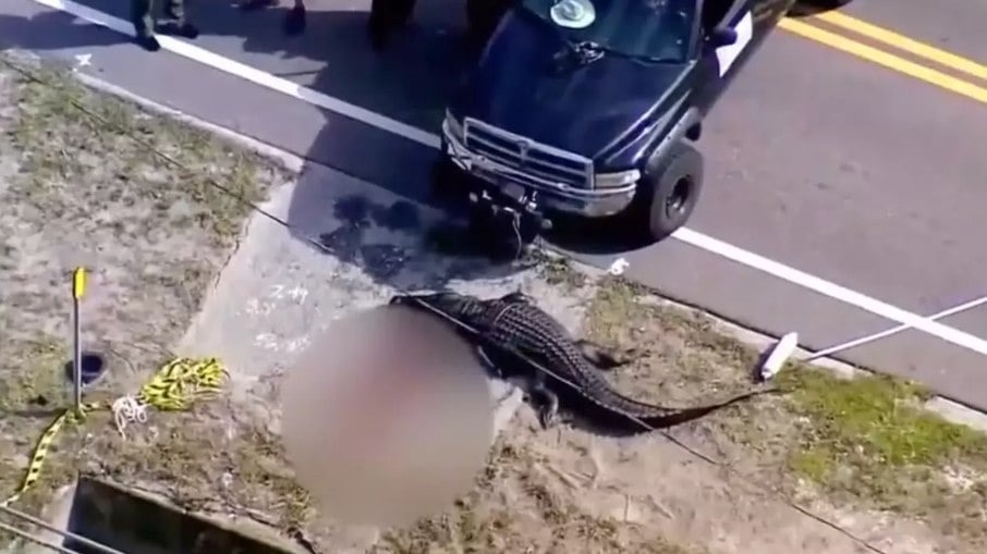 Crocodilo devora mulher e anda com estômago inchado nas ruas