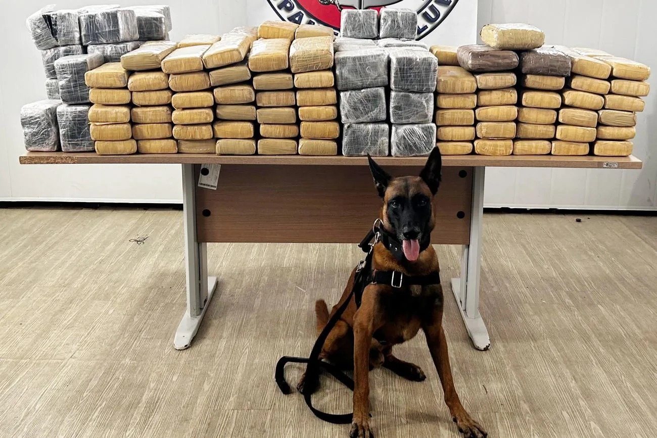 Polícia apreende mais 330kg de drogas