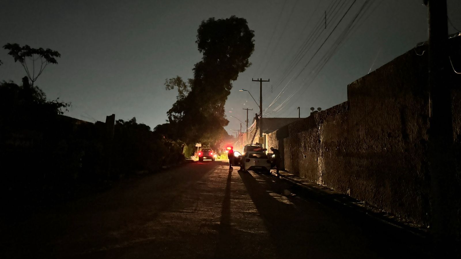 Queda de árvore atinge casa e cabos elétricos na Grande Belém