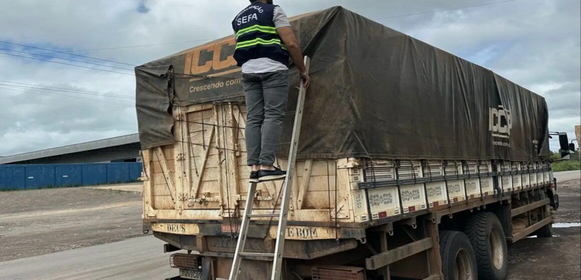 Mais de 7 mil garrafas de cachaça são apreendidas na rodovia Transamazônica em Marabá