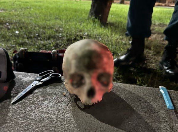 Belém: Homem é flagrado levando crânio humano dentro de mochila