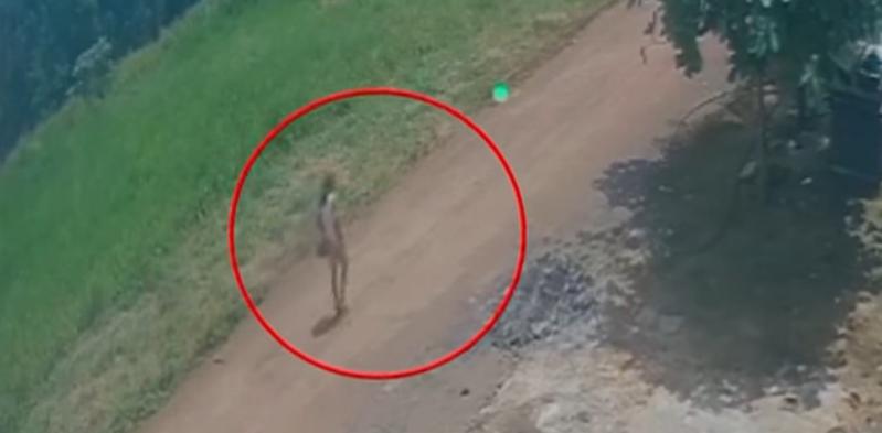 Belém: Idosa com Alzheimer desaparece em área de mata