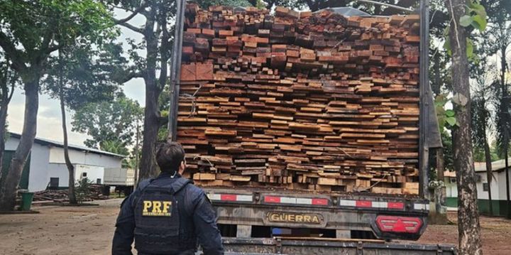 PRF apreende 80 m³ de madeira ilegal em fiscalização na BR-230