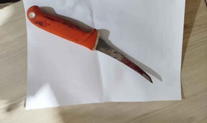 Após esfaquear companheiro em Marabá, mulher é detida