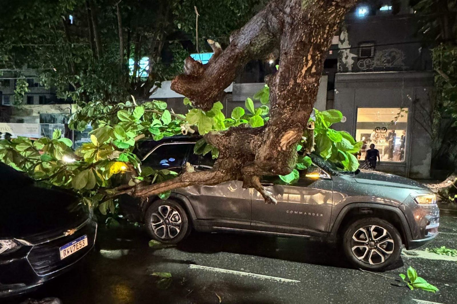 Parte de tronco de árvore cai durante chuva e atinge carro na Grande Belém