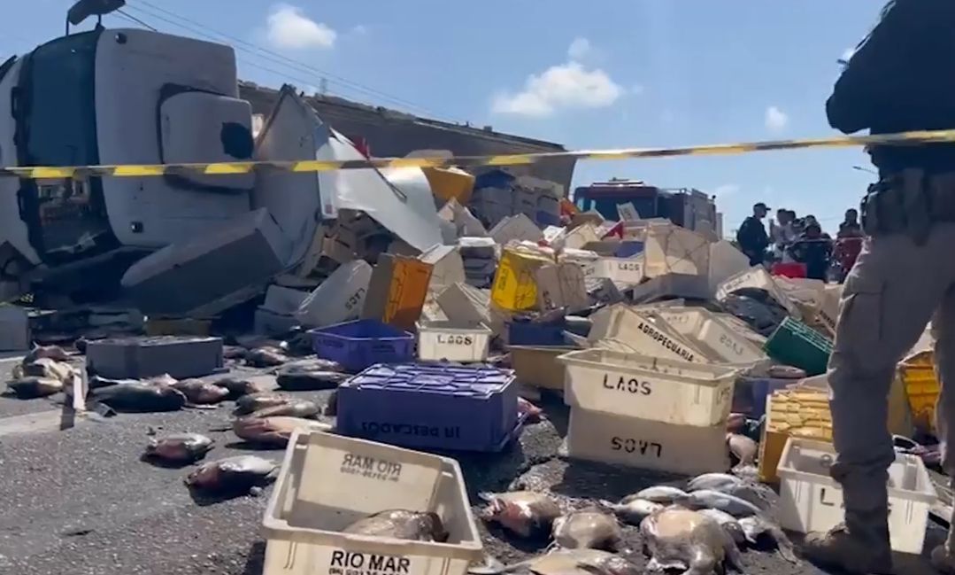 Belém: Caminhão carregado de peixe tomba na BR-316