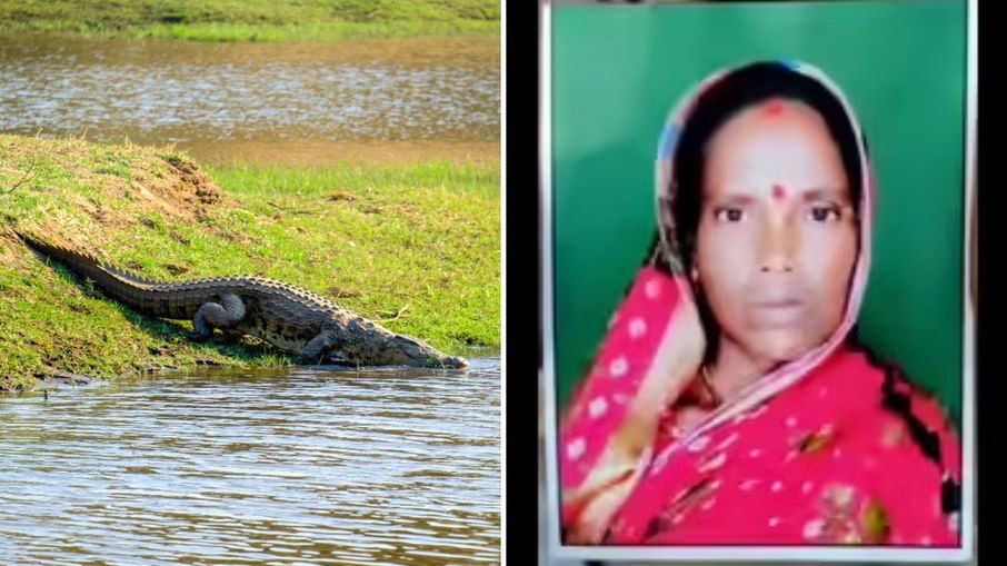 Mãe é morta por crocodilo enquanto pescava
