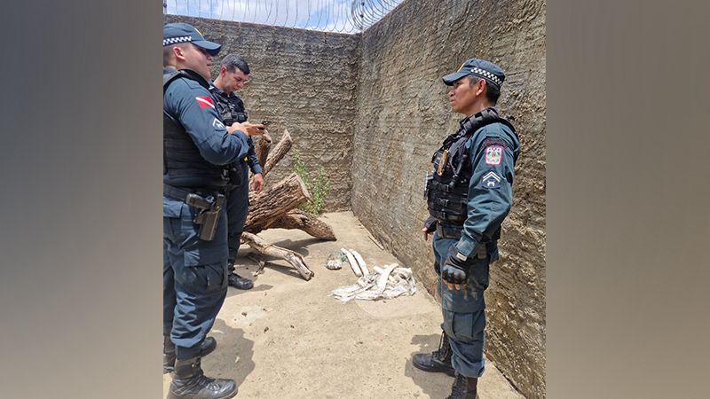 Morador de Parauapebas encontra dinamites enterradas no quintal
