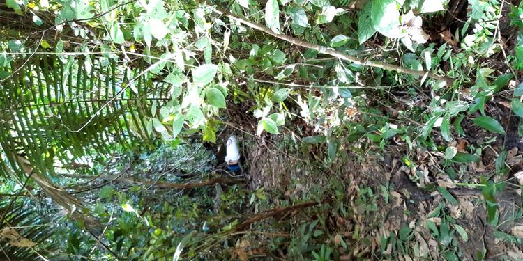 Homem é perseguido e executado a tiros na zona rural de Pacajá